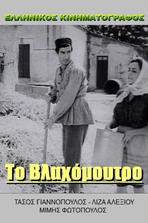 Agent Kitsos calls Gastounis poster