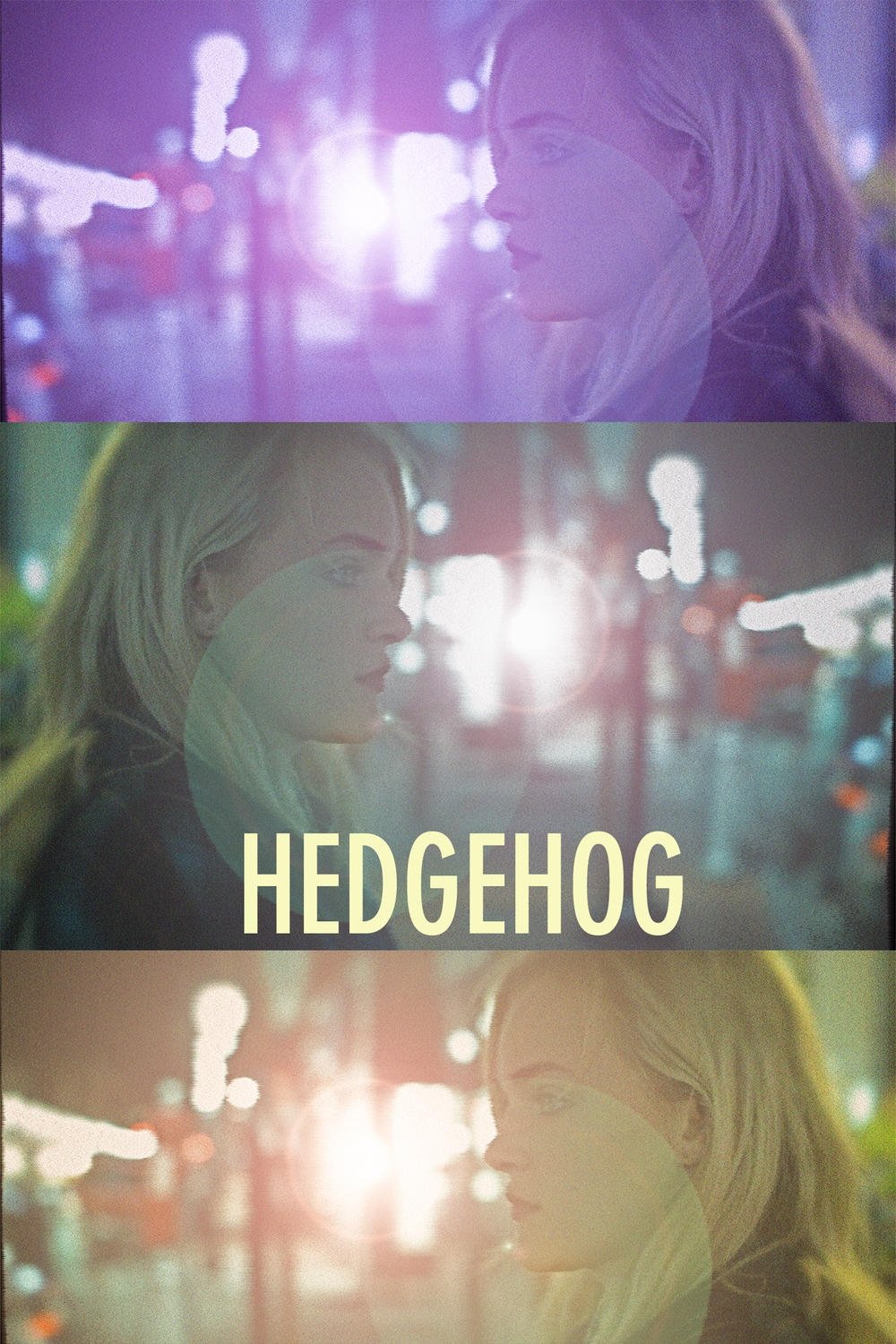 Hedgehog poster