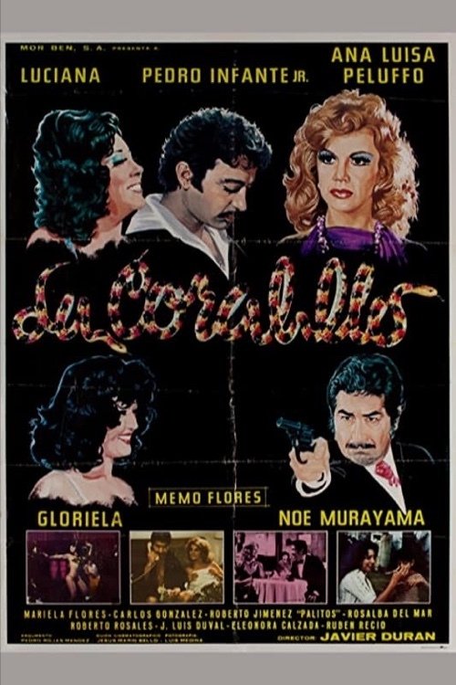 La coralillo poster