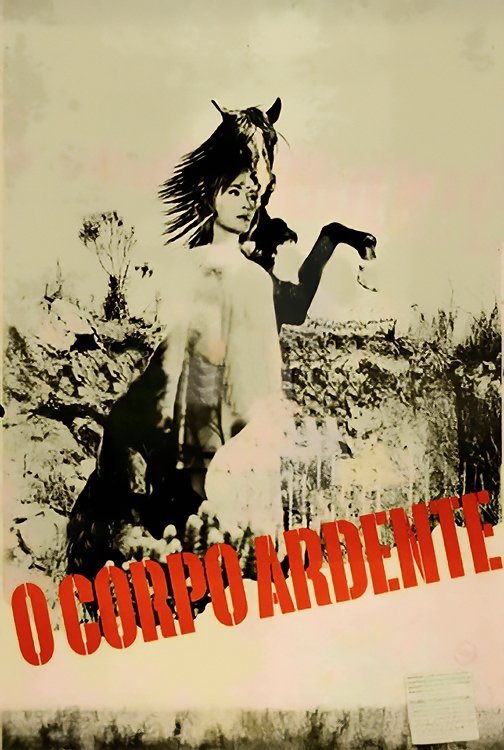 The Burning Body poster