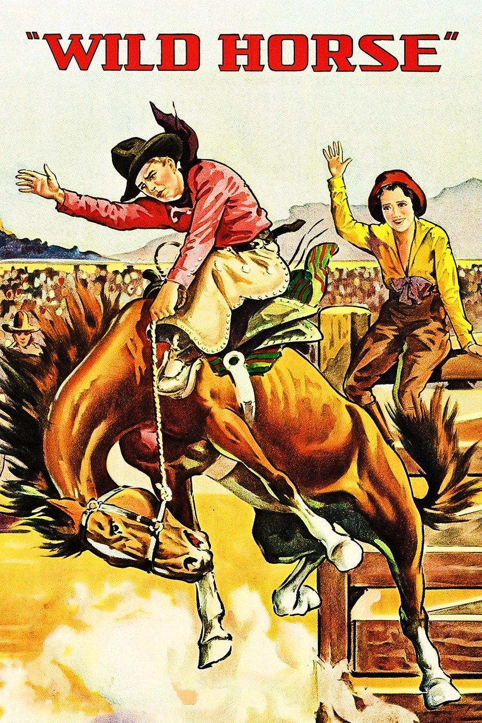 Wild Horse poster